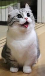 1739712675421.png