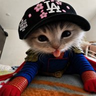 beautiful_panda