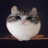 exdurexx